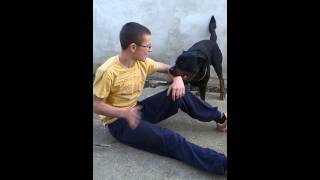 Moja ZVER  Rottweiler attack [upl. by Padgett]