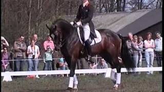 KWPN approved stallion Oscar Wolfgang x Nabuur under saddle at Pretendenthoeve 2009 [upl. by Eenerb253]