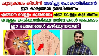 ചൂട് കാലം കിഡ്നി അടിച്ചു പോകാതിരിക്കാൻ ശ്രദ്ധിക്കേണ്ട കാര്യങ്ങൾ IMPORTANCE OF KIDNEY Dr Bibin Jose [upl. by Sokcin476]