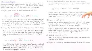 Properties of Enzymes [upl. by Georgia551]