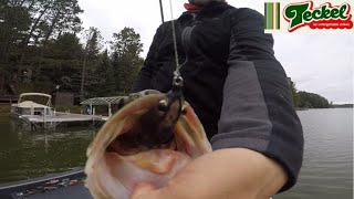 Skipping the Teckel Sprinker Frog under docks for October Largemouth Bass [upl. by Yentihw452]