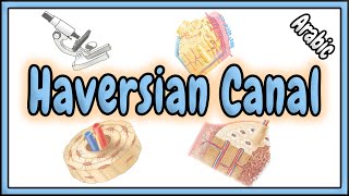 82 Haversian Canal  قناة هافرس [upl. by Eterg718]