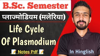 Life Cycle Of Plasmodium Malaria  Bsc Semester  By Dadhich Sir [upl. by Nikolos]