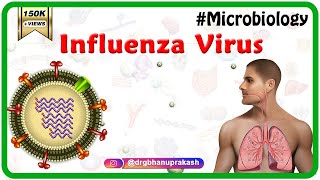 Influenza Virus Microbiology Animation [upl. by Aicerg]