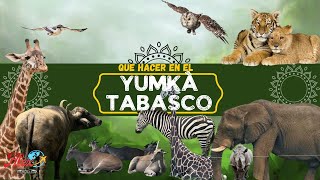 Visita el YUMKA en Villahermosa  LA MEJOR GUÍA [upl. by Coniah504]