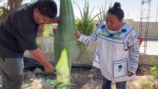 La Mejor Barbacoa De Borrego Con Pencas De Maguey Como Hacerla Al Estilo De  LA COCINA DE LULU [upl. by Yesiad264]