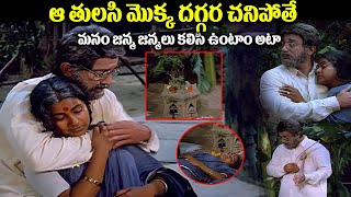 Swathi Muthyam Movie Cliamx Emotional Scene  Swathi Muthyam Movie Scenes  iDreamJagtialtc3vd [upl. by Ahsienar]