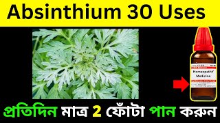 absinthium 30 homeopathic medicine uses and diseases [upl. by Tench]