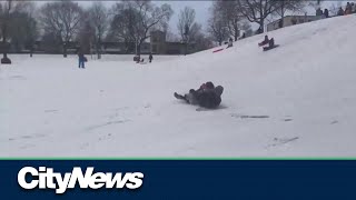 Toronto city council may reverse toboggan ban [upl. by Mullane]