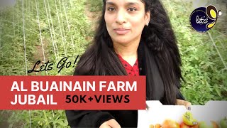 Al Buainain Farm visit  JubailSaudi Arabia  Vlog12 [upl. by Airt390]