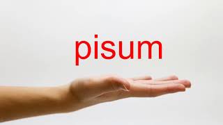 How to Pronounce pisum  American English [upl. by Nylorak]