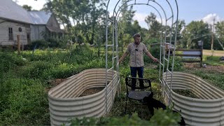 Beautiful Raised Bed For 140 Year Old Farm Land Guard  Fighting Summer Heat [upl. by Yellah]