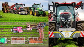 TRACTORBUMPER FRONTGEWICHTE bei der KAROTTENERNTE  Dewulf  Case  John Deere  New Holland [upl. by Jaylene]