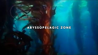 UICIDEBOY  ABYSSOPELAGIC ZONE LYRIC VIDEO [upl. by Downs486]