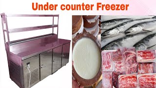 Undercounter Freezer commercialrefrigerator cookingappliance [upl. by Whall]