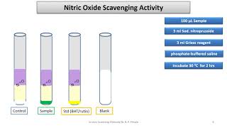 Nitric Oxide Scavenging Assay amp Reducing power Antioxidant Assays Dr B P Pimple [upl. by Aneerehs]