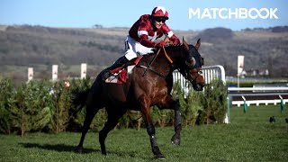 Cheltenham 2022 Cross Country AntePost Preview [upl. by Bromley]