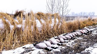 CRAZY DITCH HIDE HUNT IN THE SNOW [upl. by Titus966]