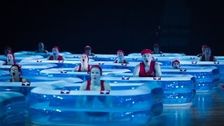 Highlights from the World Gymnaestrada 2015 Helsinki [upl. by Rehpotsirhc485]