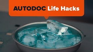 How to Quickly Defrost Car Windows  AUTODOC [upl. by Erek576]