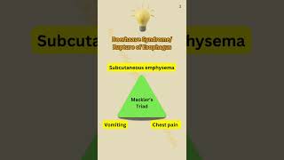 Mackler’s Triad  Boerhaave syndrome [upl. by Cummine]