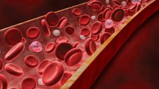 Agranulocytosis causes treatment forms [upl. by Araem]