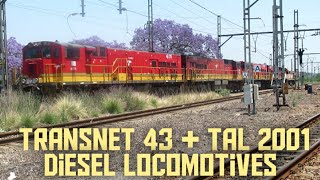 Transnet 43 and TAL 2001 diesel locomotives [upl. by Atnod]