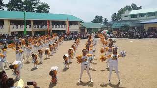 Yellow Tigers Mass Dance CNHS Intrams 2019 [upl. by Dunson]