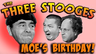 The THREE STOOGES  Moes Birthday Marathon  JUNE 19 [upl. by Eiffe151]