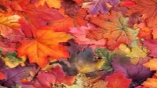 Autumn Acrosticwmv [upl. by Armalla440]