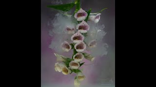 Submerged flowers and ink  Foxgloves [upl. by Pinckney]