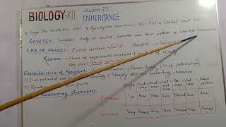 Chapter  23 Inheritance  G J Mendels success  Biology XII [upl. by Hobey]