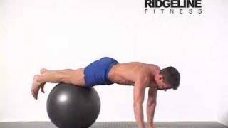 15 Swiss Ball Push Up [upl. by Kirad626]