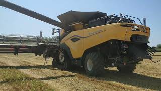 New Holland CR11  MacDon 15m DEMO [upl. by Hallock]