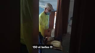 150 3n Bollos se gasta dise [upl. by Niras]