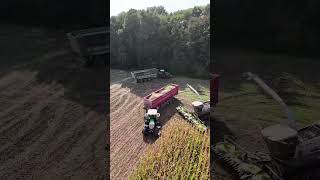 Claas 990TT Silage Machine reaper modern agriculture shorts short viralvideo youtubeshorts [upl. by Cindee]