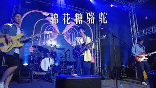 椅子乐团《棉花糖骆驼》20221025长沙VOXLivehouse蓝小彬 [upl. by Eerihs]