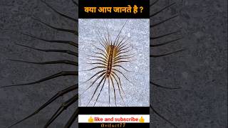 Kya aap jante Hain interestingfacts knowledge shorts [upl. by Aciruam170]