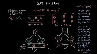 Gaz du sang  Partie 1  Docteur Synapse [upl. by Amatruda]