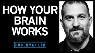 How Your Brain Works amp Changes [upl. by Audrie65]