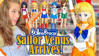 Sailor Venus Dollfie Dream Sister Doll Complete Unboxing amp Assembly [upl. by Binah]