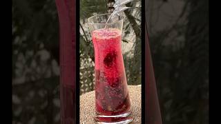 Probiotic Drink  Beetroot Kanji recipe shorts youtubeshorts trending [upl. by Llenrod36]