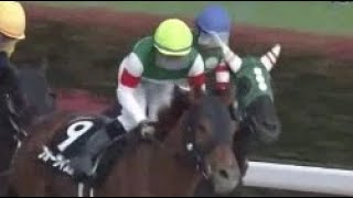 鎌倉S ダ1400m 左 フォーヴィスム 牡5 580 内田博 2023423 出走馬：ライフレッスンズ、ウナギノボリ、エルバリオ、ルクルト、フルヴォート、エターナリー他 [upl. by Ricarda842]