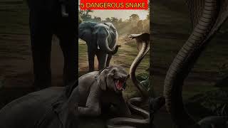 quotTop 5 Deadliest Snake In The WORLD quot Top5 Dangerous [upl. by Refotsirk517]