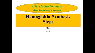 Hemoglobin Synthesis Porphyrin Synthesis [upl. by Vento]