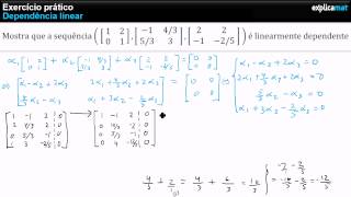 Vetores Linearmente Dependentes  Matriz 2x2 [upl. by Darlleen]