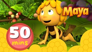 La Abeja Maya 🐝 50 minutos  Episodios completos 14 [upl. by Moffat]