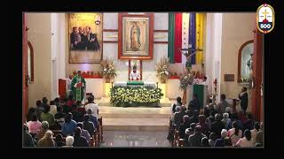 EN VIVO Celebración Eucarística XXXI Domingo del tiempo ordinario [upl. by Sgninnej]