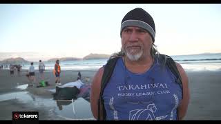 Iwi lead mass whale stranding near Whangārei [upl. by Adal17]