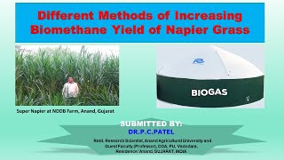 Different Methods of Increasing Biomethane Yield of Napier GrassDr P C Patel [upl. by Elletnwahs]